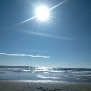 Meet your Posher, Ireanna